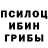 Псилоцибиновые грибы ЛСД dial. marat