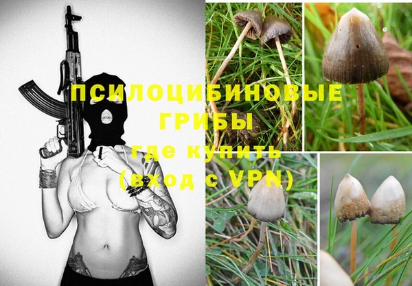 не бодяженный Алзамай