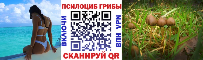 Галлюциногенные грибы мицелий  Красково 